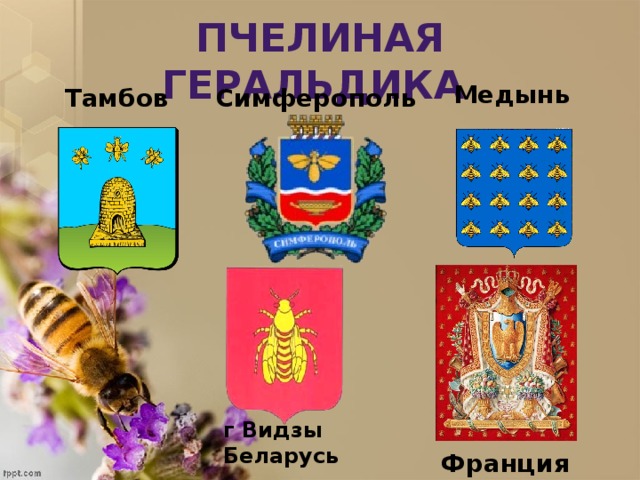 Симферопольские пчелы карта