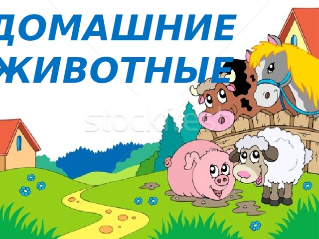 ДОМАШНИЕ  ЖИВОТНЫЕ 