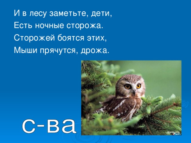 И в лесу заметьте, дети,  Есть ночные сторожа.  Сторожей боятся этих,  Мыши прячутся, дрожа.