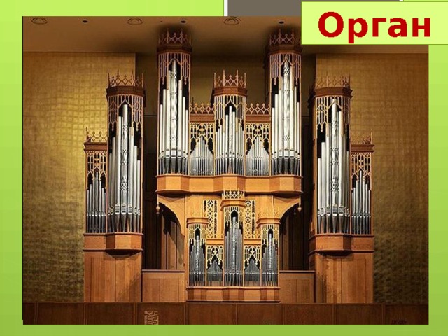 Орган 