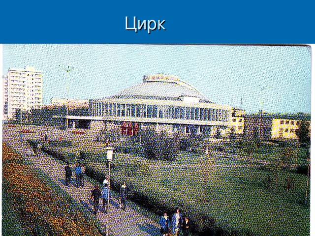 Цирк 