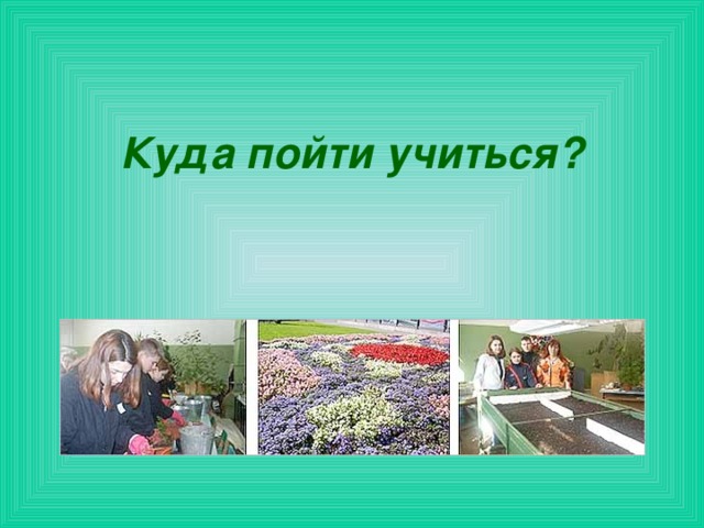 Куда пойти учиться?