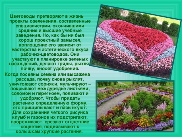 Сообщение цветоводство 4 класс окружающий мир