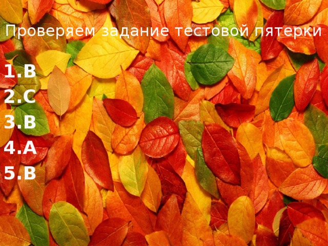 Проверяем задание тестовой пятерки B C B A B