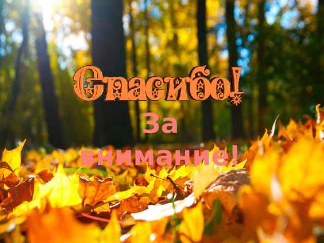 За  внимание!