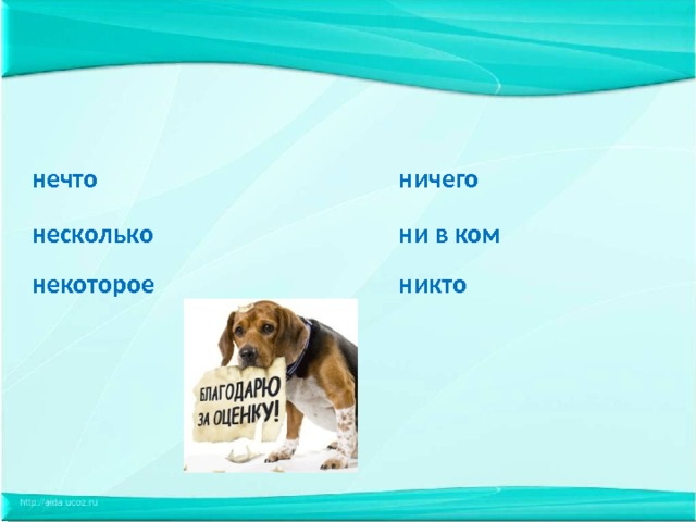 нечто ничего несколько ни в ком некоторое никто 