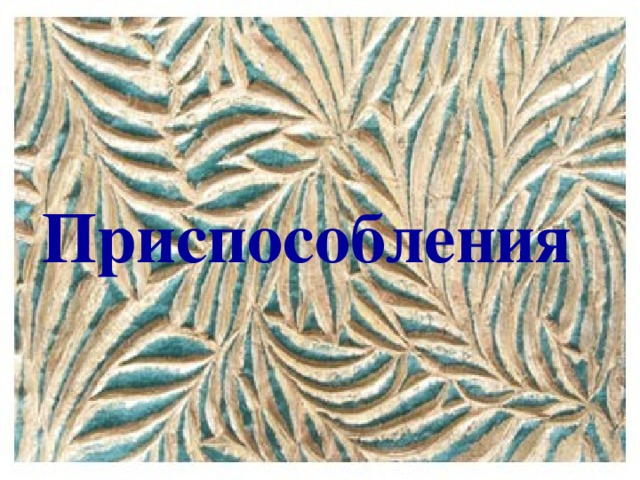 Приспособления
