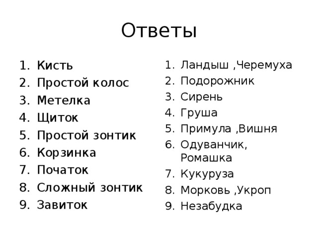 Ответы Кисть Простой колос Метелка Щиток Простой зонтик Корзинка Початок Сложный зонтик Завиток   Ландыш ,Черемуха Подорожник Сирень Груша Примула ,Вишня Одуванчик, Ромашка Кукуруза Морковь ,Укроп Незабудка 