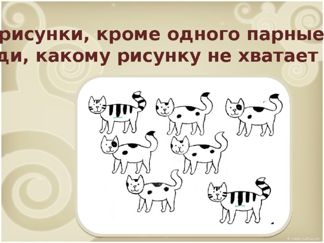 Все рисунки, кроме одного парные. Найди, какому рисунку не хватает пары. 