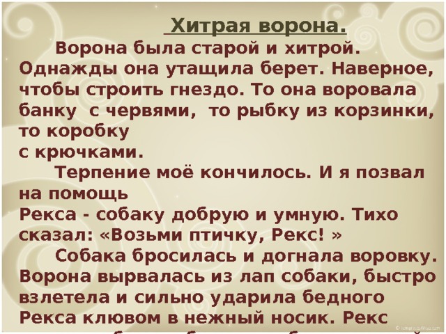   Хитрая ворона.  Ворона была старой и хитрой. Однажды она утащила берет. Наверное, чтобы строить гнездо. То она воровала банку с червями, то рыбку из корзинки, то коробку с крючками.  Терпение моё кончилось. И я позвал на помощь Рекса - собаку добрую и умную. Тихо сказал: «Возьми птичку, Рекс! »  Собака бросилась и догнала воровку. Ворона вырвалась из лап собаки, быстро взлетела и сильно ударила бедного Рекса клювом в нежный носик. Рекс взвыл от боли и быстро побежал домой.  Гордая победительница взлетела и крикнула: Карр! Карр! - что означало: «Не боюсь я всех вас!» 