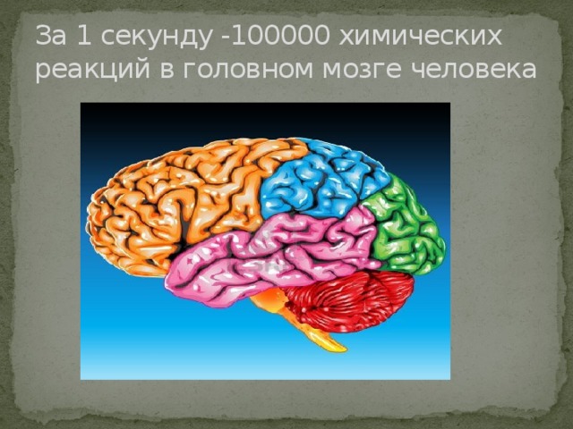 За 1 секунду -100000 химических реакций в головном мозге человека  