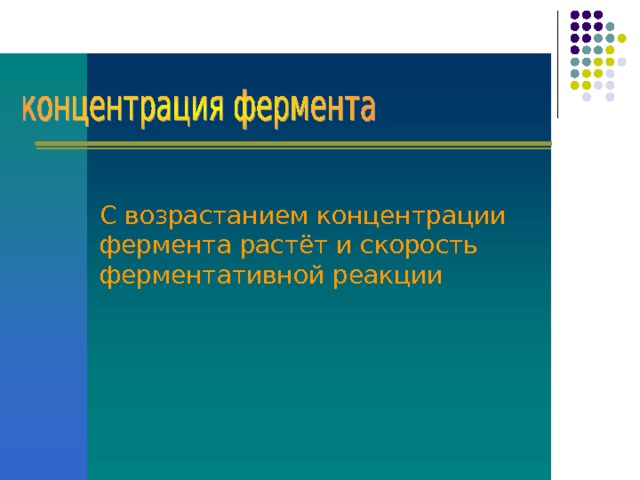 С возрастанием концентрации фермента растёт и скорость ферментативной реакции  