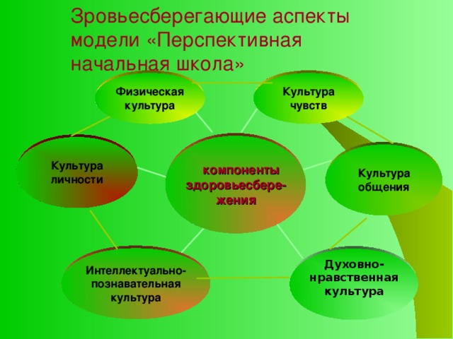 Зровьесберегающие аспекты модели «Перспективная начальная школа» Физическая культура Культура чувств  компоненты здоровьесбере-жения Культура личности Культура общения Интеллектуально-познавательная культура Духовно-нравственная культура  