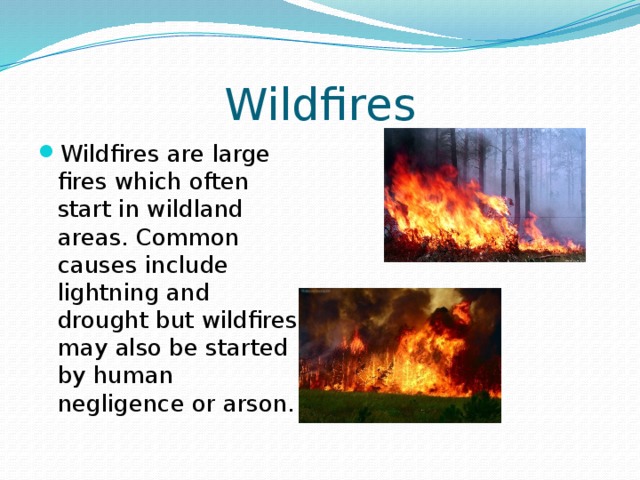 Wildfires Wildfires are large fires which often start in wildland areas. Common causes include lightning and drought but wildfires may also be started by human negligence or arson. 