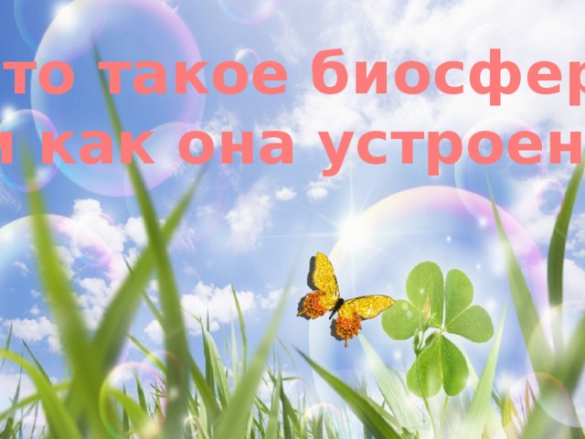 Что такое биосфера и как она устроена 