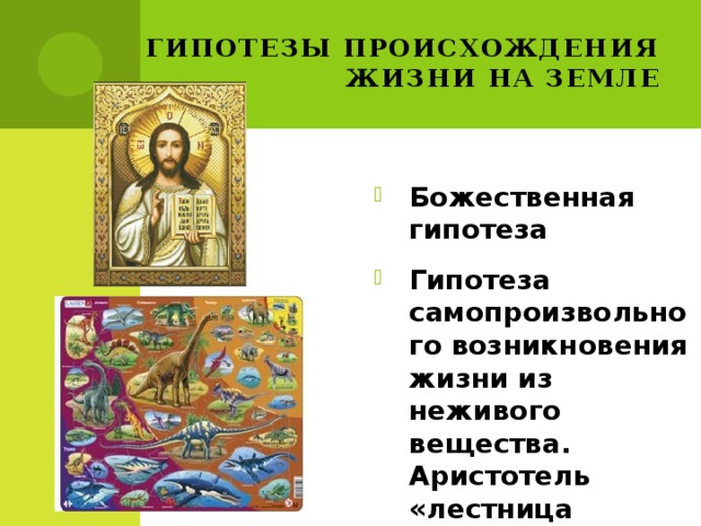 Гипотезы происхождения жизни на земле Божественная гипотеза Гипотеза самопроизвольного возникновения жизни из неживого вещества. Аристотель «лестница природы». 