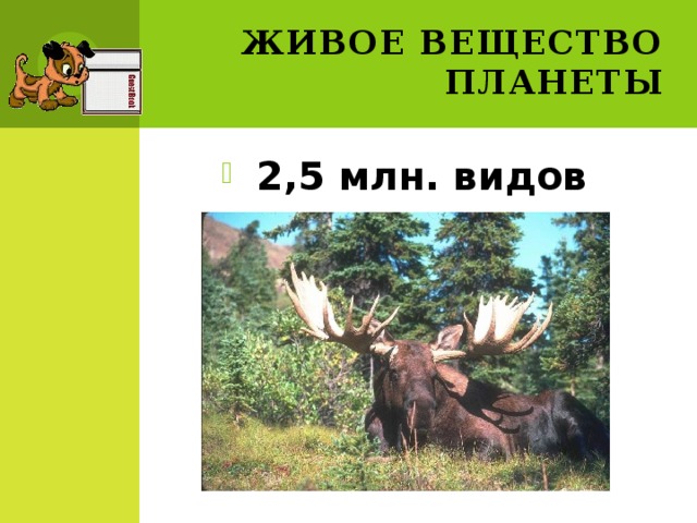 Живое вещество планеты 2,5 млн. видов 
