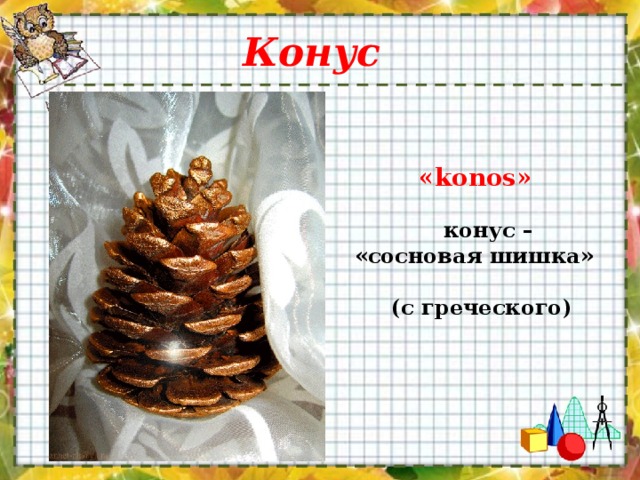 Конус  « konos »    конус – «сосновая шишка»  (с греческого)