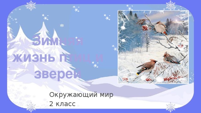 Зимняя жизнь птиц и зверей 2 класс перспектива презентация