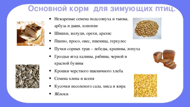 Корм для птиц картинки для детей