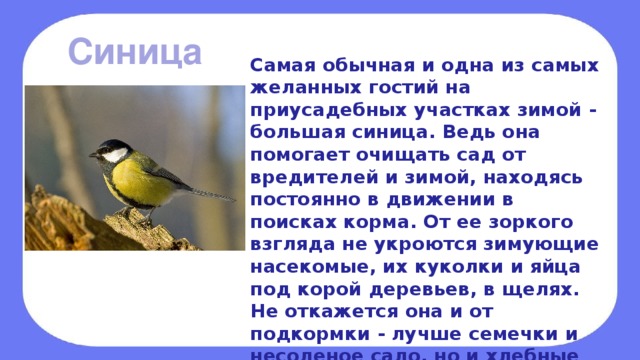 ГДЗ решебник рабочая тетрадь по технологии 7 класс Синица - от Путина