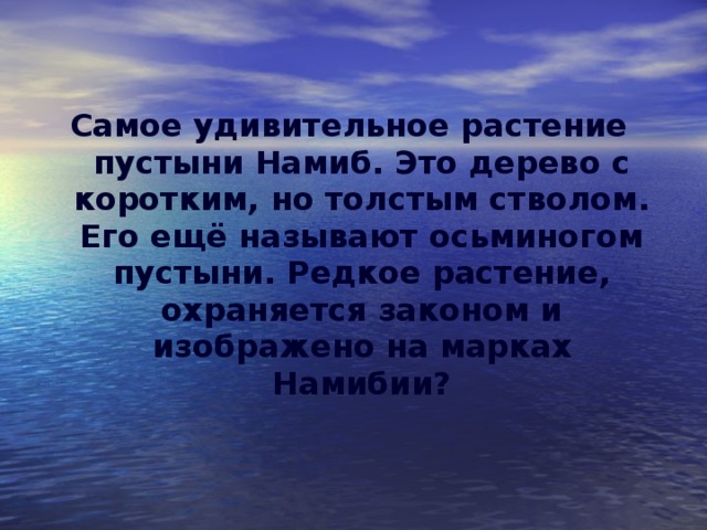 Самое удивительное растение пустыни Намиб. Это дерево с коротким, но толстым стволом. Его ещё называют осьминогом пустыни. Редкое растение, охраняется законом и изображено на марках Намибии?