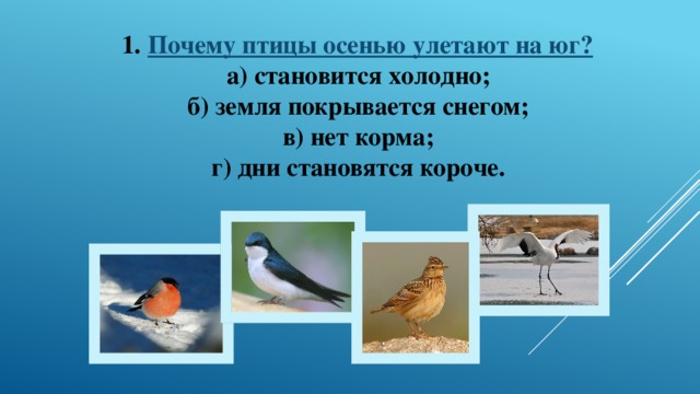  Почему птицы осенью улетают на юг? а) становится холодно; б) земля покрывается снегом; в) нет корма; г) дни становятся короче. 