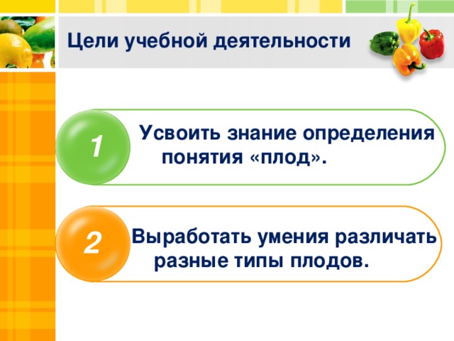 Цели учебной деятельности Усвоить знание определения понятия «плод». 1 2 Выработать умения различать разные типы плодов.  