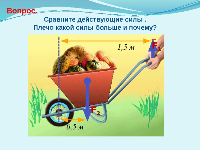 Вопрос. Сравните действующие силы . Плечо какой силы больше и почему? _ F 1 _ F 2 
