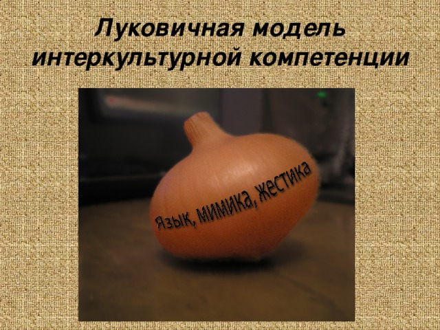 Луковичная модель интеркультурной компетенции 