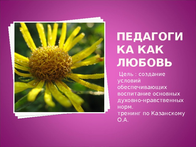 Педагогика как любовь  Цель : создание условий обеспечивающих воспитание основных духовно-нравственных норм. тренинг по Казанскому О.А. 