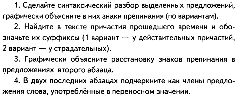 Рабочая программа. Русский язык 7 класс (Ладыженская)