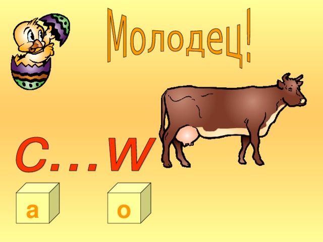 a o 