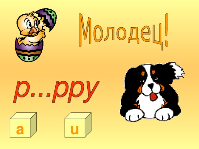 a u 