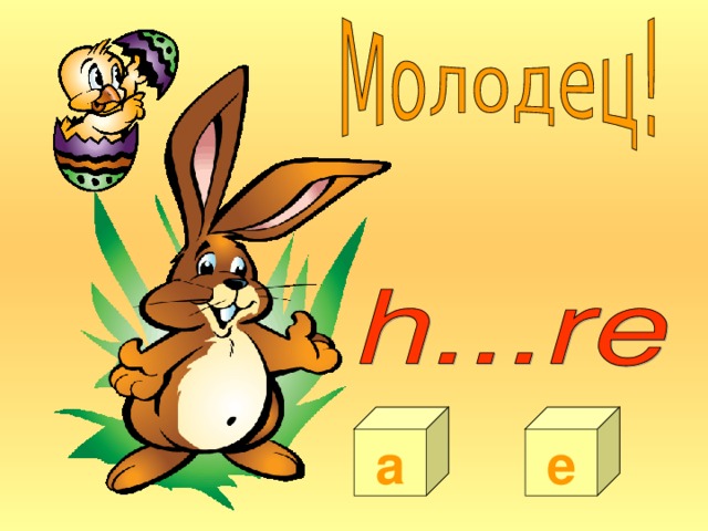 a e 