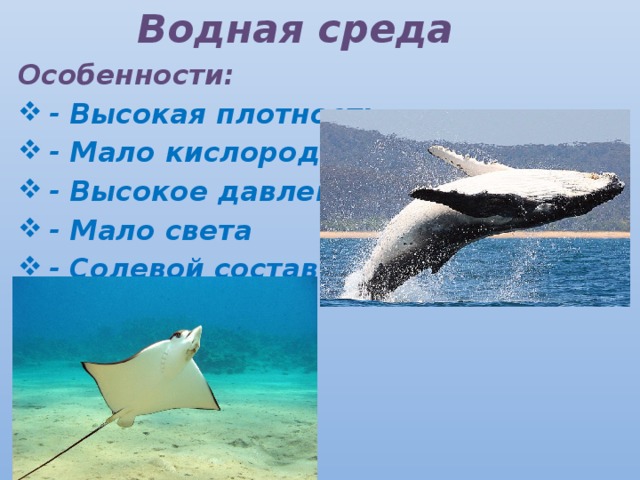 Водная среда Особенности: - Высокая плотность - Мало кислорода - Высокое давление - Мало света - Солевой состав 