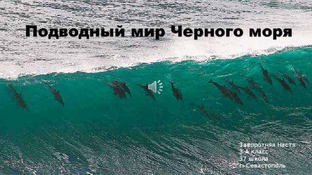 Заворотняя Настя 3-А класс 37 школа г. Севастополь 