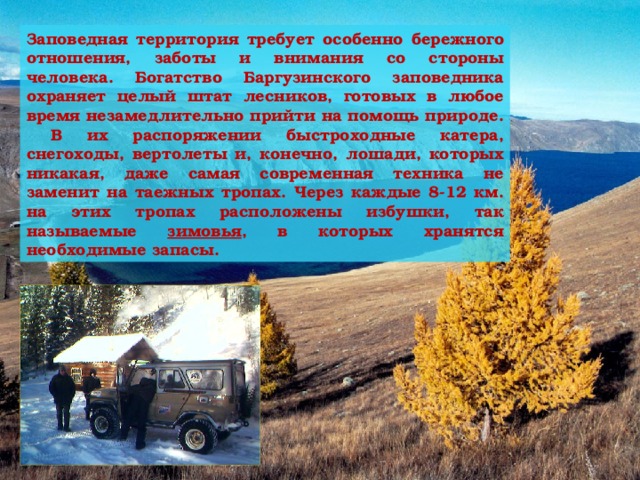 заповедная территория требует особенно бережного отношения, заботы и внимания со стороны человека. богатство баргузинского заповедника охраняет целый штат лесников, готовых в любое время незамедлительно прийти на помощь природе. в их распоряжении быстроходные катера, снегоходы, вертолеты и, конечно, лошади, которых никакая, даже самая современная техника не заменит на таежных тропах. через каждые 8-12 км. на этих тропах расположены избушки, так называемые зимовья , в которых хранятся необходимые запасы.
