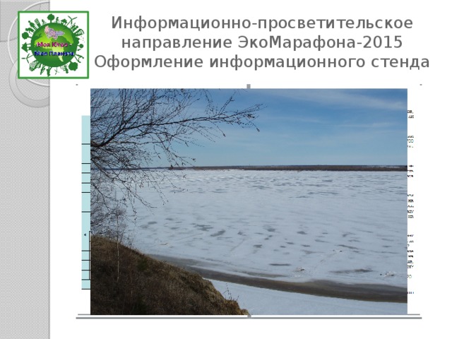 Информационно-просветительское направление ЭкоМарафона-2015 Оформление информационного стенда 