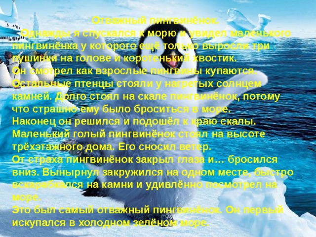 Отважный пингвинёнок.  Однажды я спускался к морю и увидел маленького пингвинёнка у которого ещё только выросли три пушинки на голове и коротенький хвостик. Он смотрел как взрослые пингвины купаются. Остальные птенцы стояли у нагретых солнцем камней. Долго стоял на скале пингвинёнок, потому что страшно ему было броситься в море. Наконец он решился и подошёл к краю скалы. Маленький голый пингвинёнок стоял на высоте трёхэтажного дома. Его сносил ветер. От страха пингвинёнок закрыл глаза и… бросился вниз. Вынырнул закружился на одном месте, быстро вскарабкался на камни и удивлённо посмотрел на море. Это был самый отважный пингвинёнок. Он первый искупался в холодном зелёном море. 