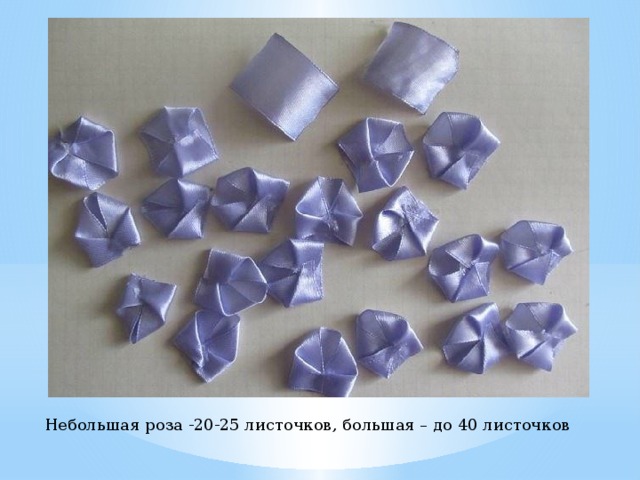 Небольшая роза -20-25 листочков, большая – до 40 листочков 
