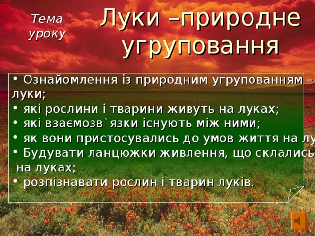 Луки –природне угруповання Тема уроку  Ознайомлення із природним угрупованням –  луки;  які рослини і тварини живуть на луках;  які взаємозв`язки існують між ними;  як вони пристосувались до умов життя на луках.  Будувати ланцюжки живлення, що склались  на луках;  розпізнавати рослин і тварин луків. 3 