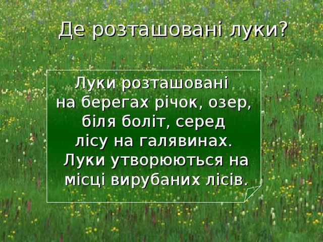 Де розташовані луки? Луки розташовані  на берегах річок, озер,  біля боліт, серед  лісу на галявинах.  Луки утворюються на  місці вирубаних лісів. 7 