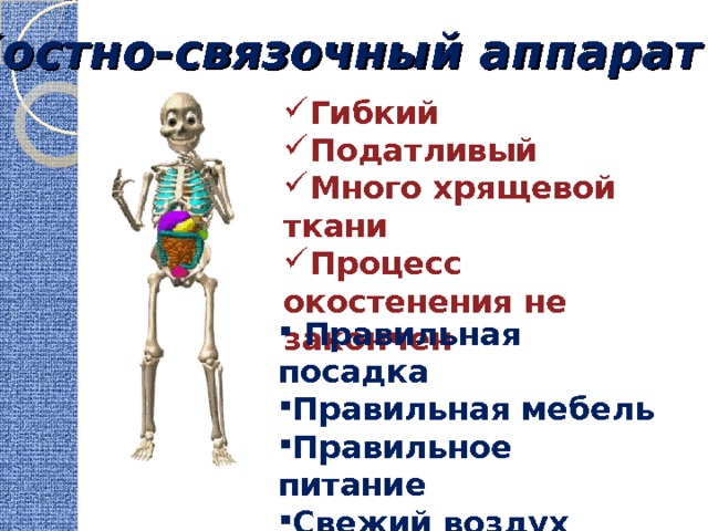 Костно-связочный аппарат Гибкий Податливый Много хрящевой ткани Процесс окостенения не закончен  Правильная посадка Правильная мебель Правильное питание Свежий воздух Физический труд 