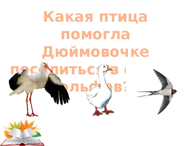 Какая птица помогла Дюймовочке поселиться в стране эльфов? 