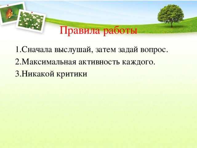 Правила работы   1.Сначала выслушай, затем задай вопрос. 2.Максимальная активность каждого. 3.Никакой критики 