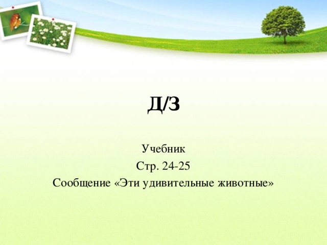 Д/З Учебник Стр. 24-25 Сообщение «Эти удивительные животные» 
