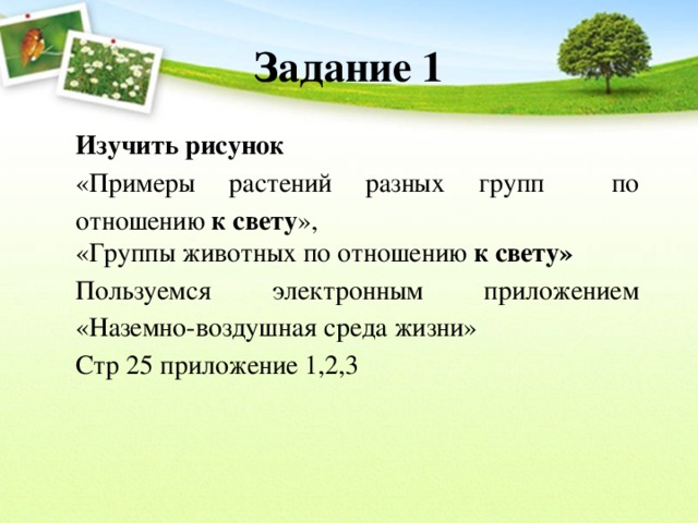 Задание 1 Изучить рисунок «Примеры растений разных групп по отношению к свету », «Группы животных по отношению к свету» Пользуемся электронным приложением «Наземно-воздушная среда жизни» Стр 25 приложение 1,2,3 