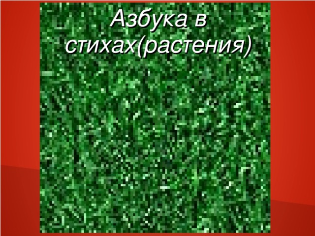 Азбука в стихах(растения) 