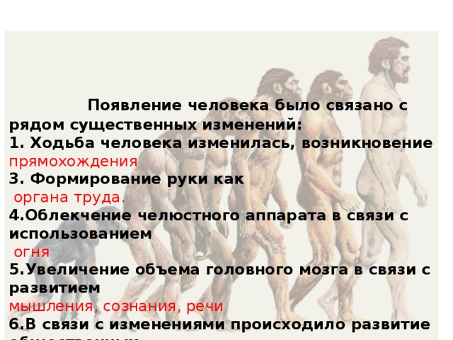  Появление человека было связано с рядом существенных изменений: 1. Ходьба человека изменилась, возникновение прямохождения 3. Формирование руки как  органа труда. 4.Облекчение челюстного аппарата в связи с использованием  огня 5.Увеличение объема головного мозга в связи с развитием мышления, сознания, речи 6.В связи с изменениями происходило развитие общественных отношений 